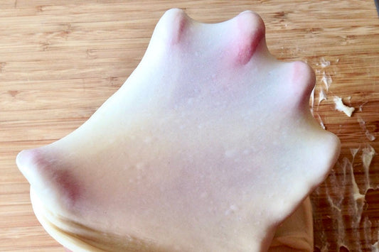 Pizza Dough Won’t Stretch? | Causes & Fixes | Rolling Wonder