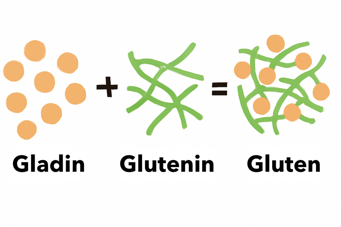 Autolyse Method for Dough | Better Gluten & Flavor | Rolling Wonder